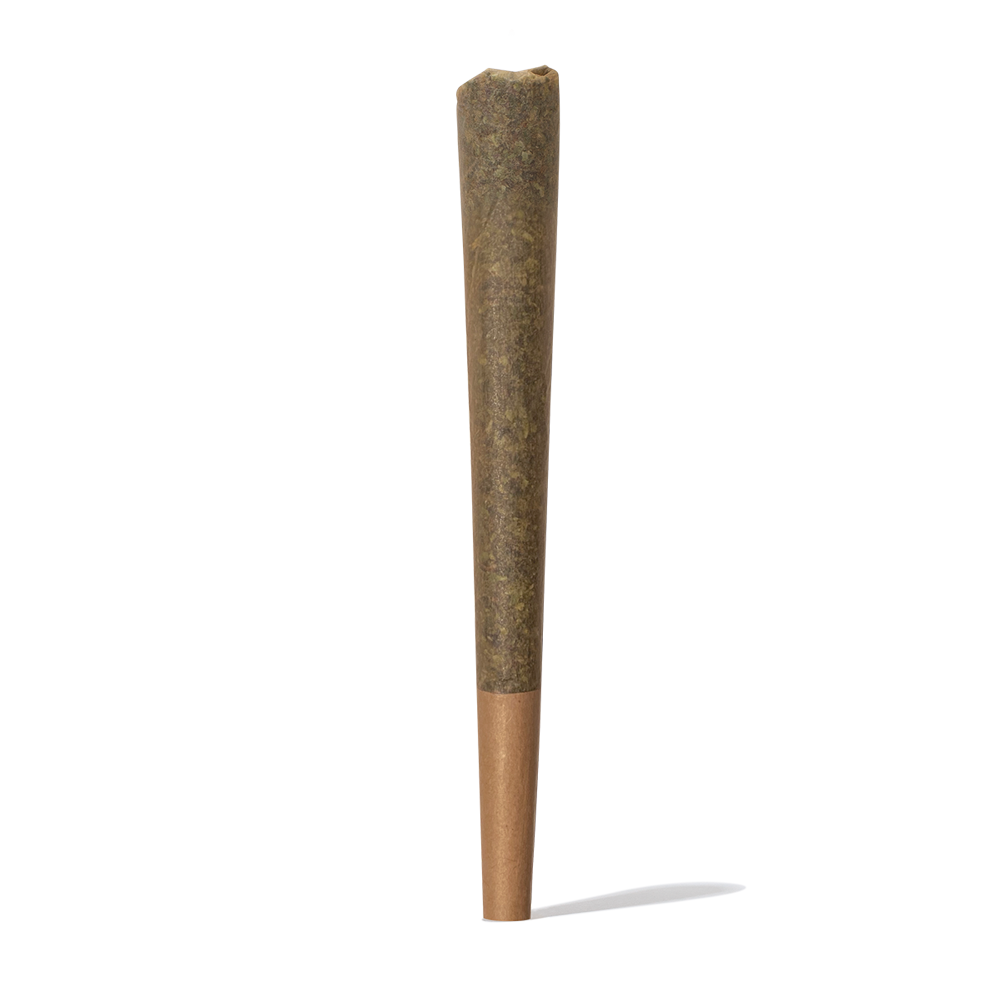 Iguana Smoke Pre Roll Cono CBD