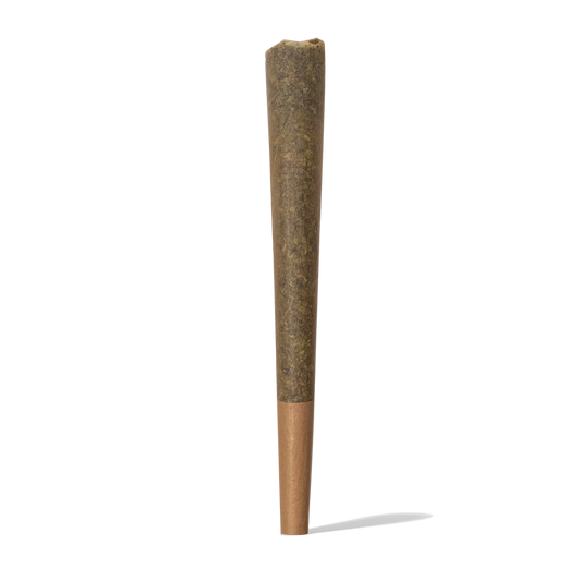 Iguana Smoke Pre Roll Cono CBD